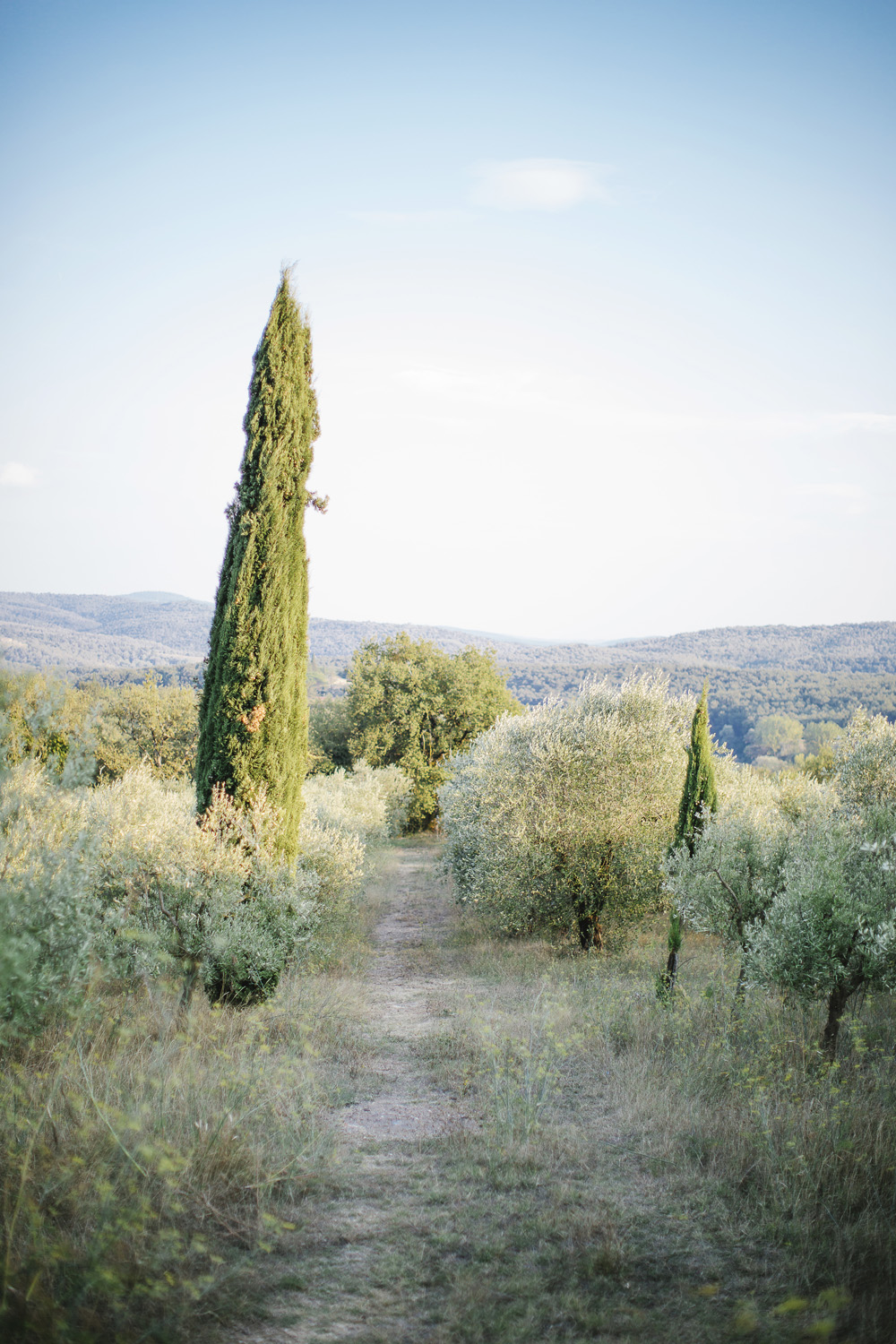 Wwedding in a Farmhouse in Tuscany