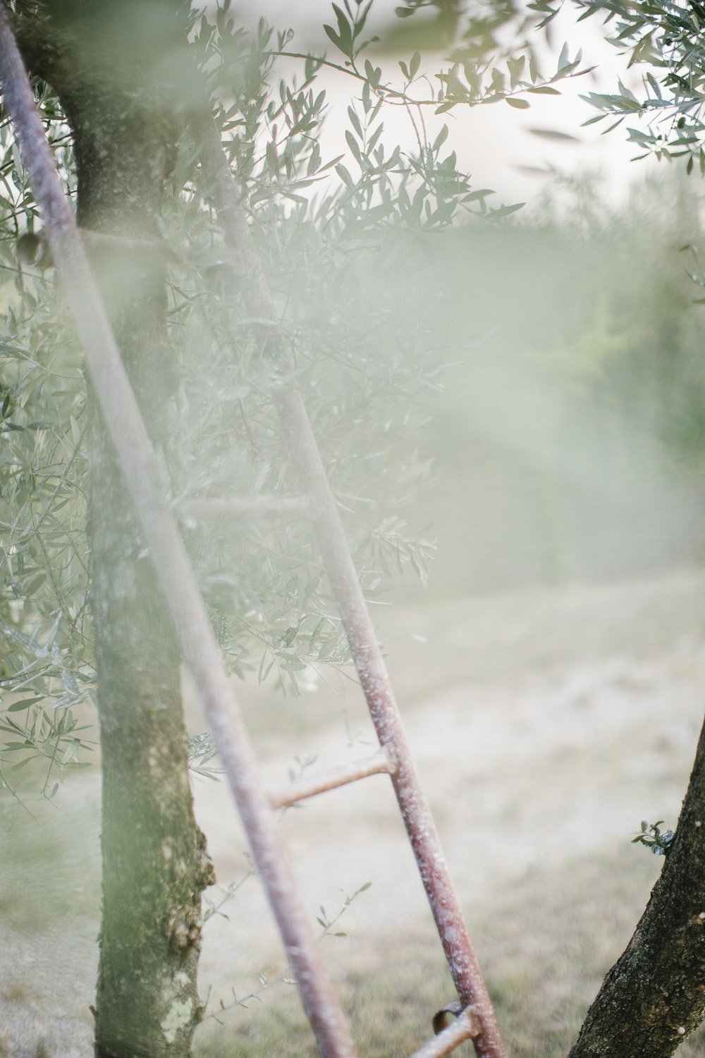 Wwedding in a Farmhouse in Tuscany