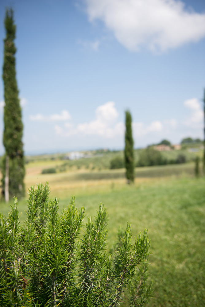 Overlooking the Tuscany contryside